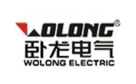 Wolong Electric Group